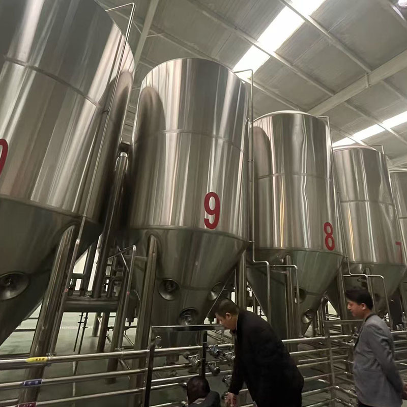 金乡精酿啤酒设备
